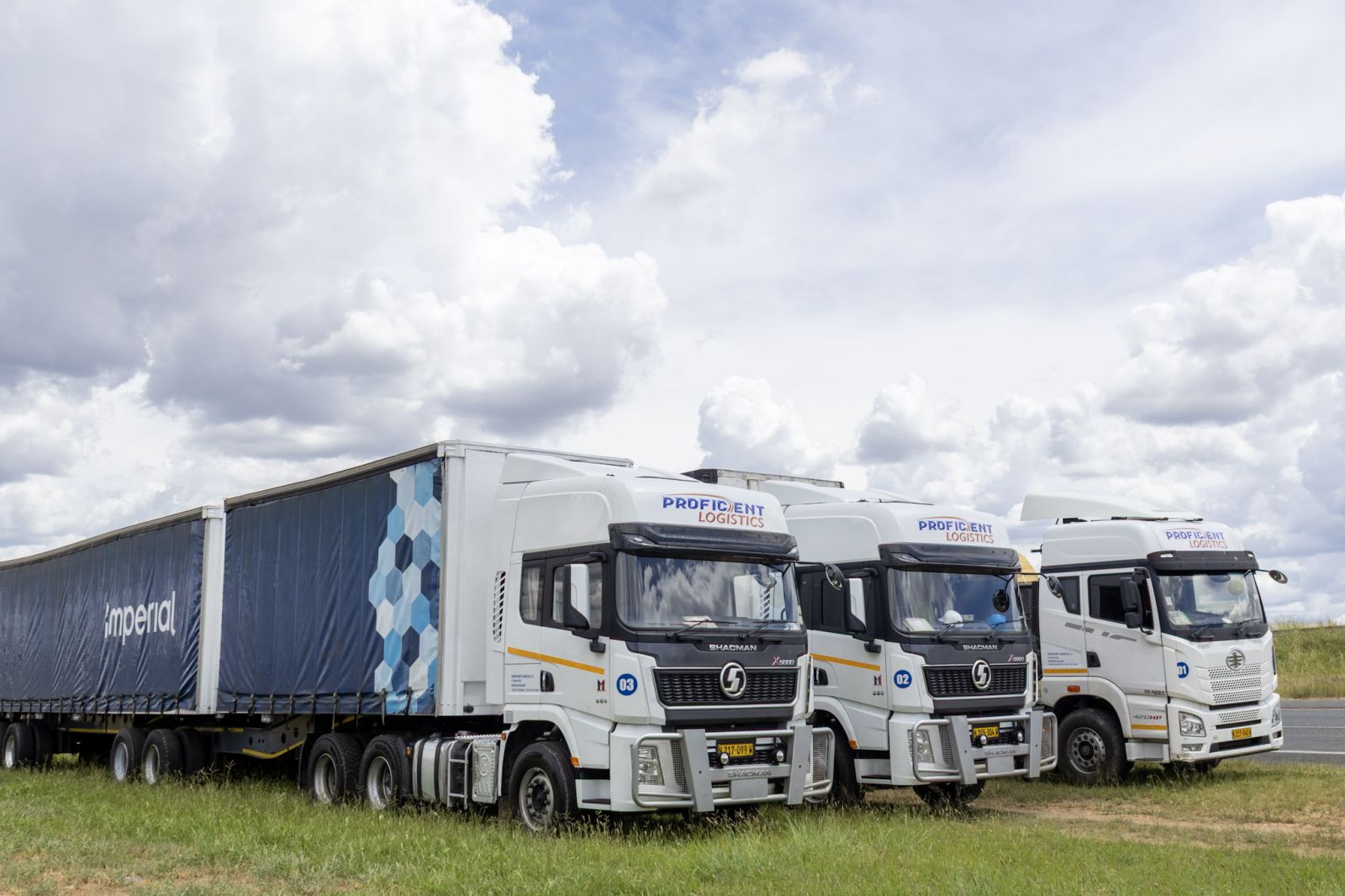 Proficient Logistics fleet of trucks parked together